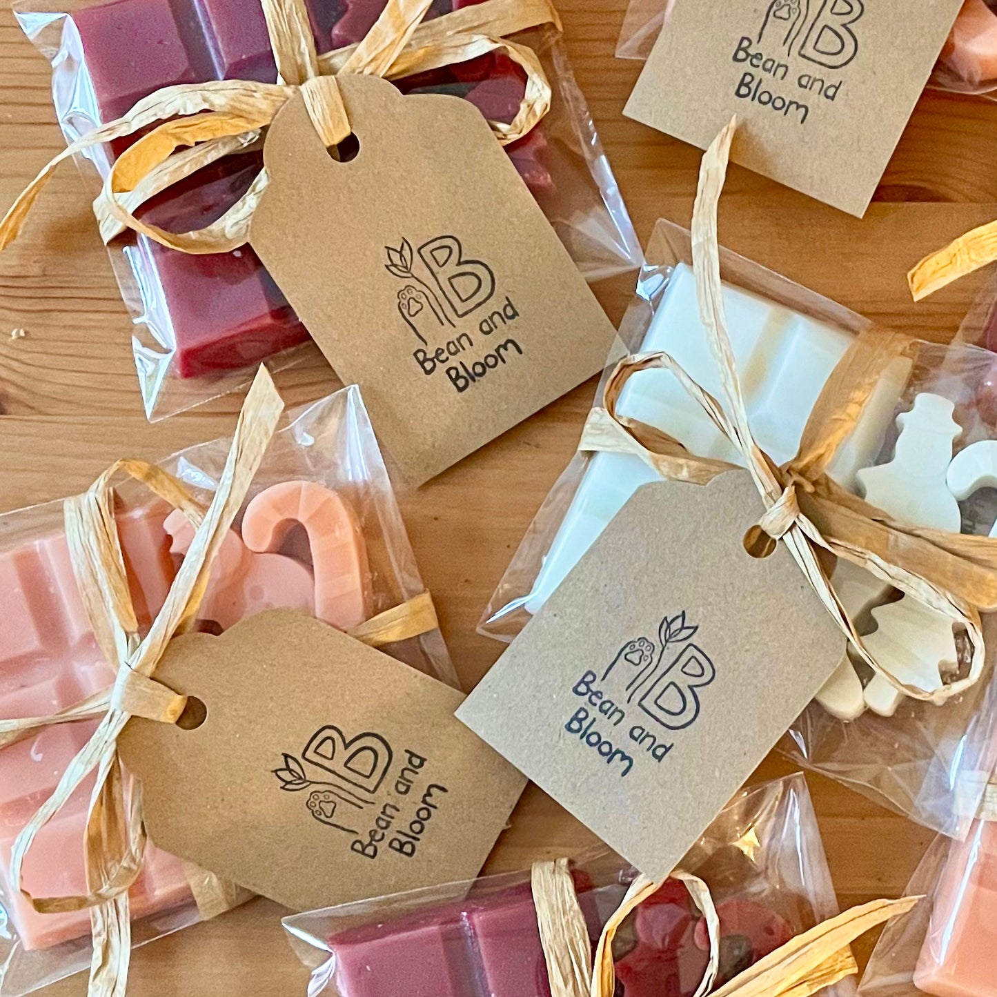 Apple and Cinnamon - Recycled Wax Melt Gift Set