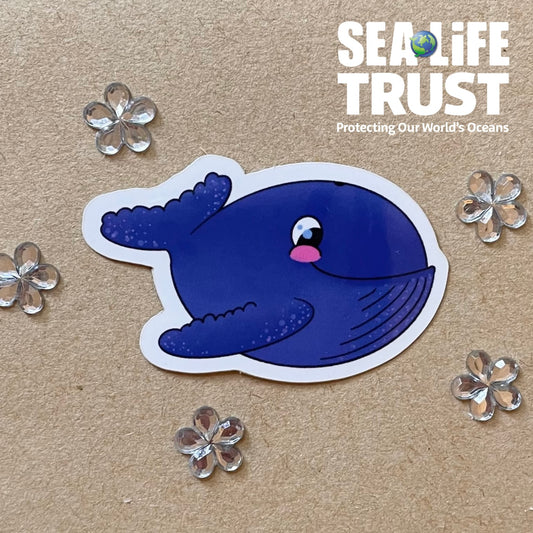 Wilma the Whale Sticker